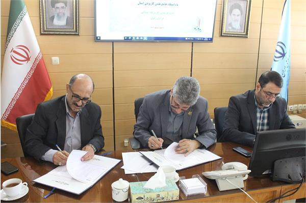 انعقاد تفاهم نامه همکاری اداره کل تعاون، کار و رفاه اجتماعی و دانشگاه جامع علمی کاربردی خراسان رضوی برای بهبود وضعیت اشتغال